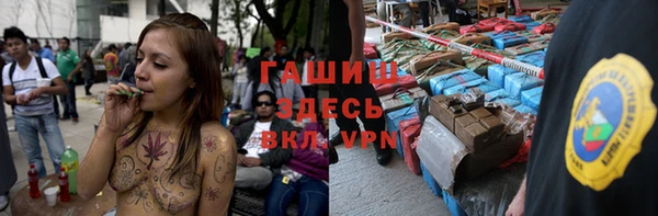 гашик Бородино