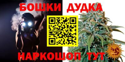 МДПВ Гусиноозёрск