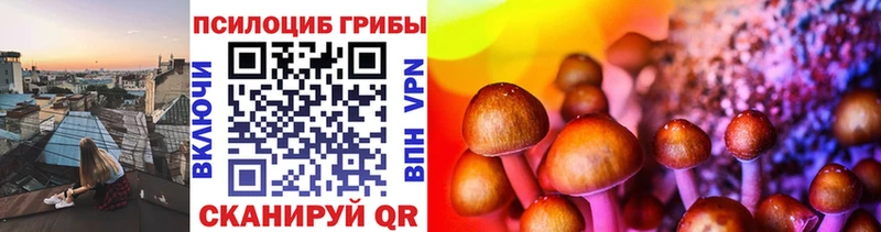 Галлюциногенные грибы мицелий  что такое   Севастополь 