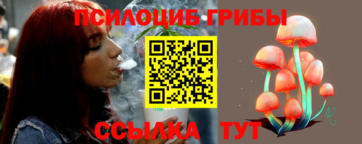 Псилоцибиновые грибы Psilocybine cubensis Севастополь