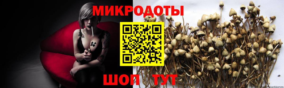 Севастополь  как найти закладки  Вход с VPN  Псилоцибиновые грибы прущие грибы 